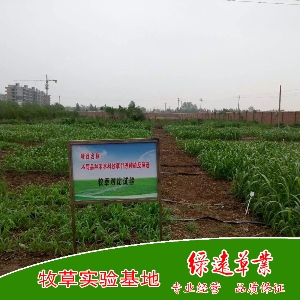 实验基地