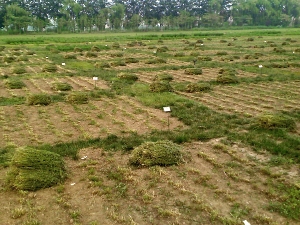 实验基地