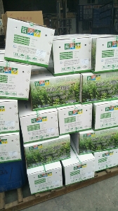 苜蓿专用除草剂：苜草净 批量发货到东北地区